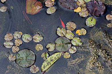 韩国多人魂类动作游戏《遗迹计划》新预告